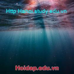 Http Hanoi.study.edu.vn