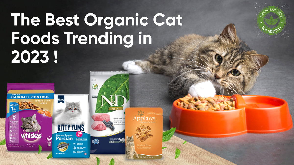 Best Natural Cat Food: Top Picks & Complete Guide