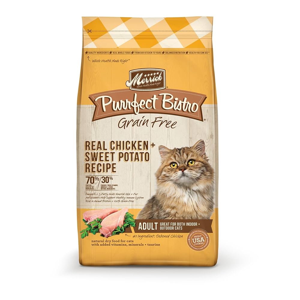 Grain‑Free Cat Food Brands: What Every Owner Needs