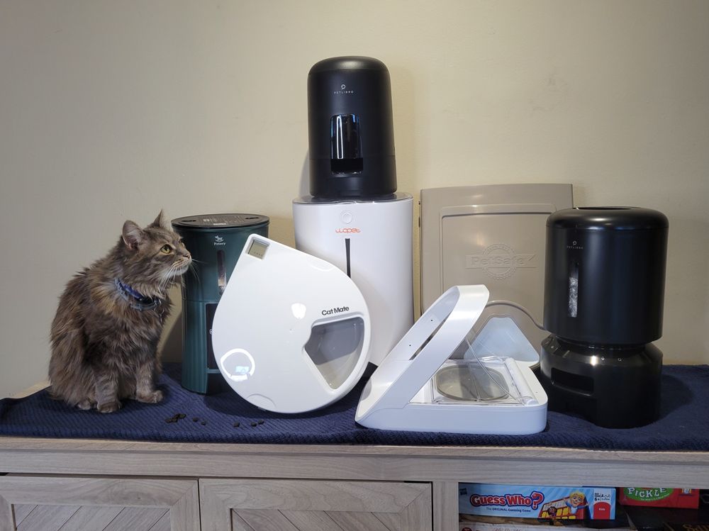 Best Automatic Cat Feeder with Camera – 2025 Guide