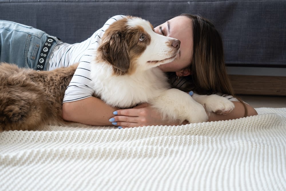 Best Big Dogs for Apartments – Practical Picks & Friendly Tips