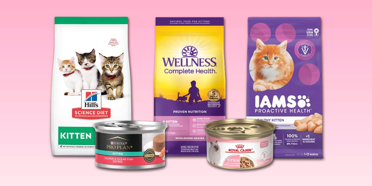 Best Kitten Food for Indoor Cats – Top Vet Picks