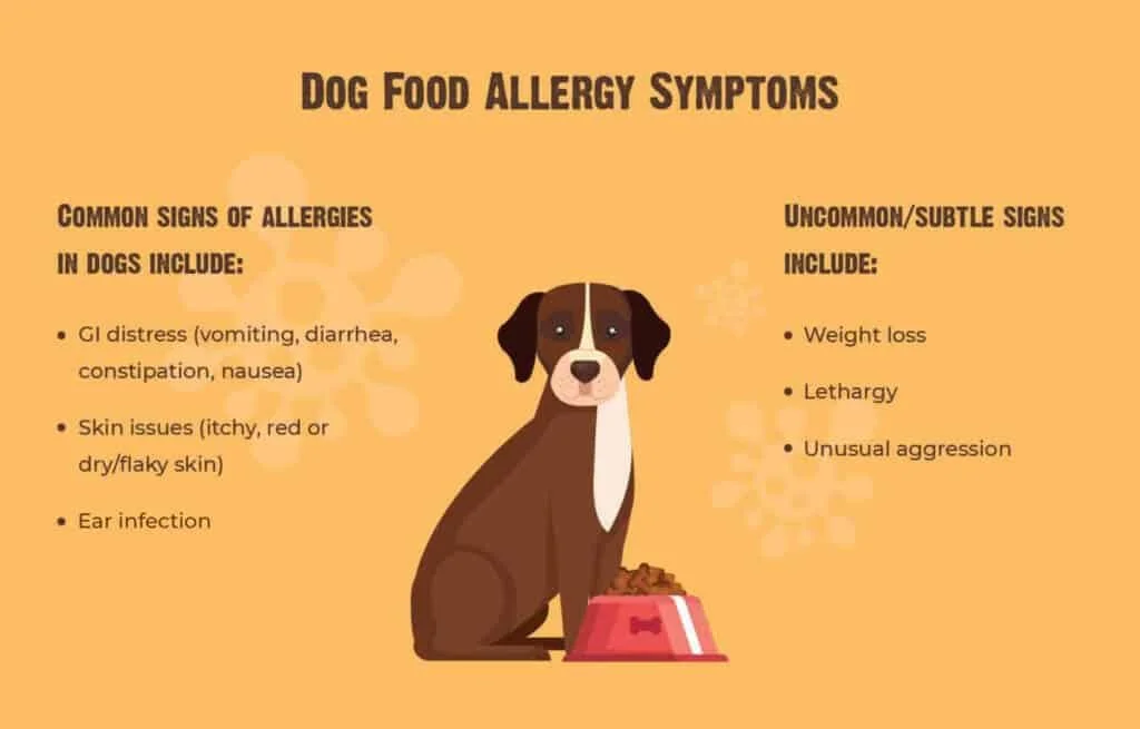 Understanding Dog Food Allergies Symptoms Skin Issues