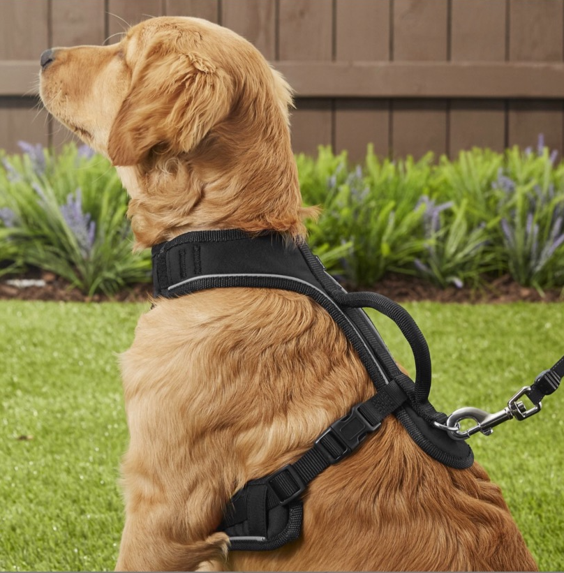Dog Harness with Handle: Safe, Comfortable Control