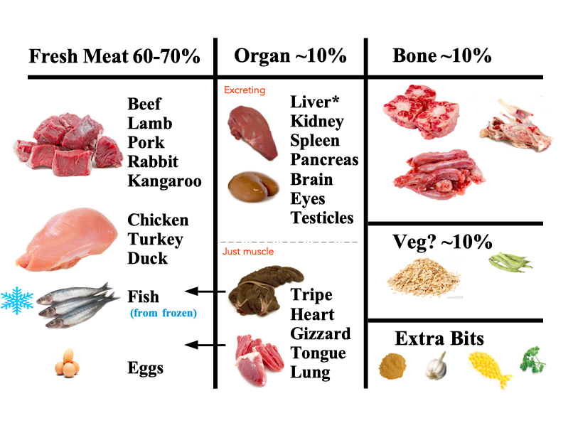 Raw Dog Food for Beginners: A Friendly, Balanced Guide