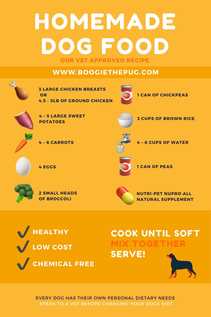 Vet Approved Homemade Puppy Food Recipes for Pups