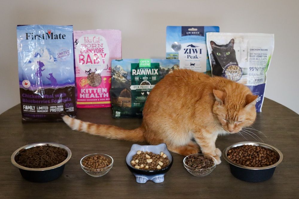 Best Cat Food Brands Dry – Top Picks & What to Know