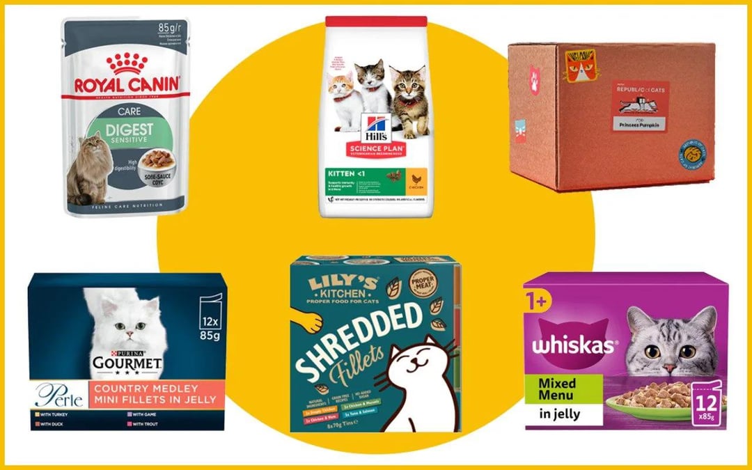 Best Cat Food Brands UK – 2025 Comprehensive Guide