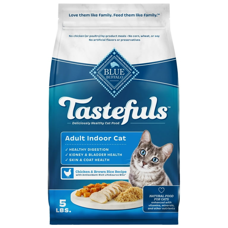 Best Dry Food for Indoor Cats – Top Picks & Tips