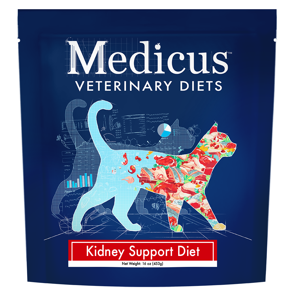 Best Dry Food for Cats with Kidney Disease Guide