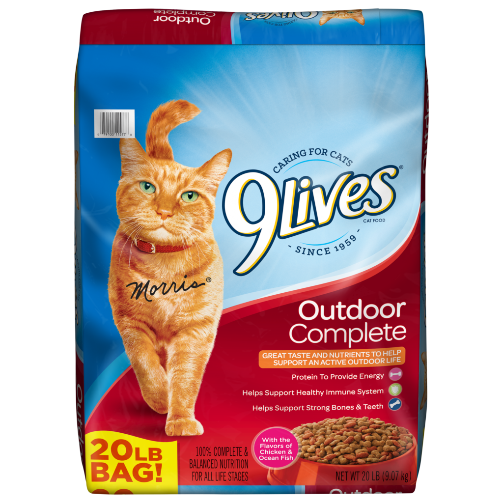 Dry Best Cat Food Brands: Top Picks & What to Know