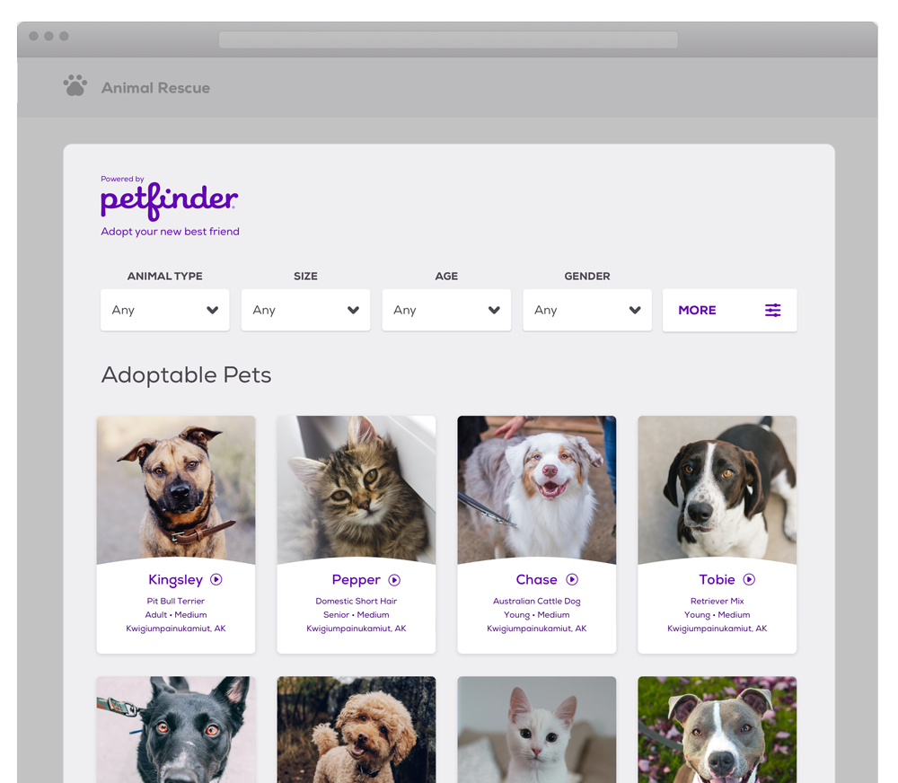 Petfinder Site: Fast, Friendly Guide to Adopt Pets