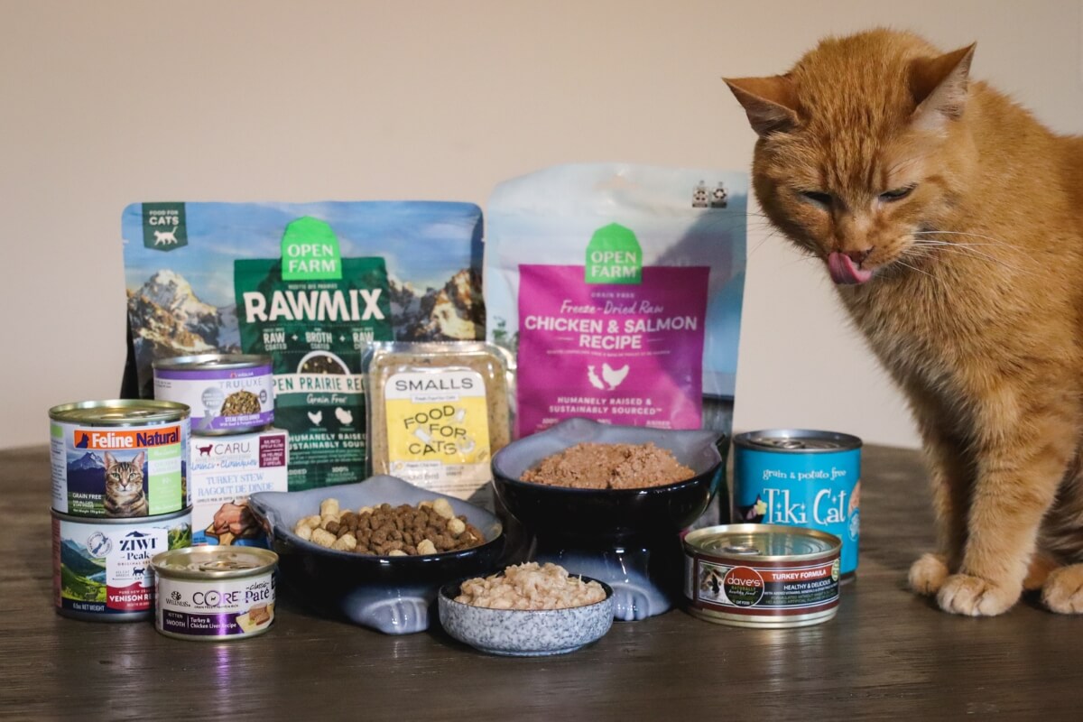 What Are the Best Cat Food Brands? A Friendly Guide