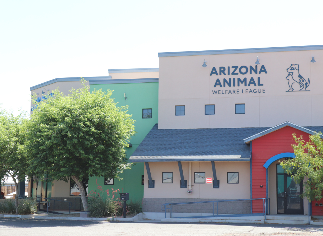 Animal Shelters Phoenix: Find, Adopt & Support Pets