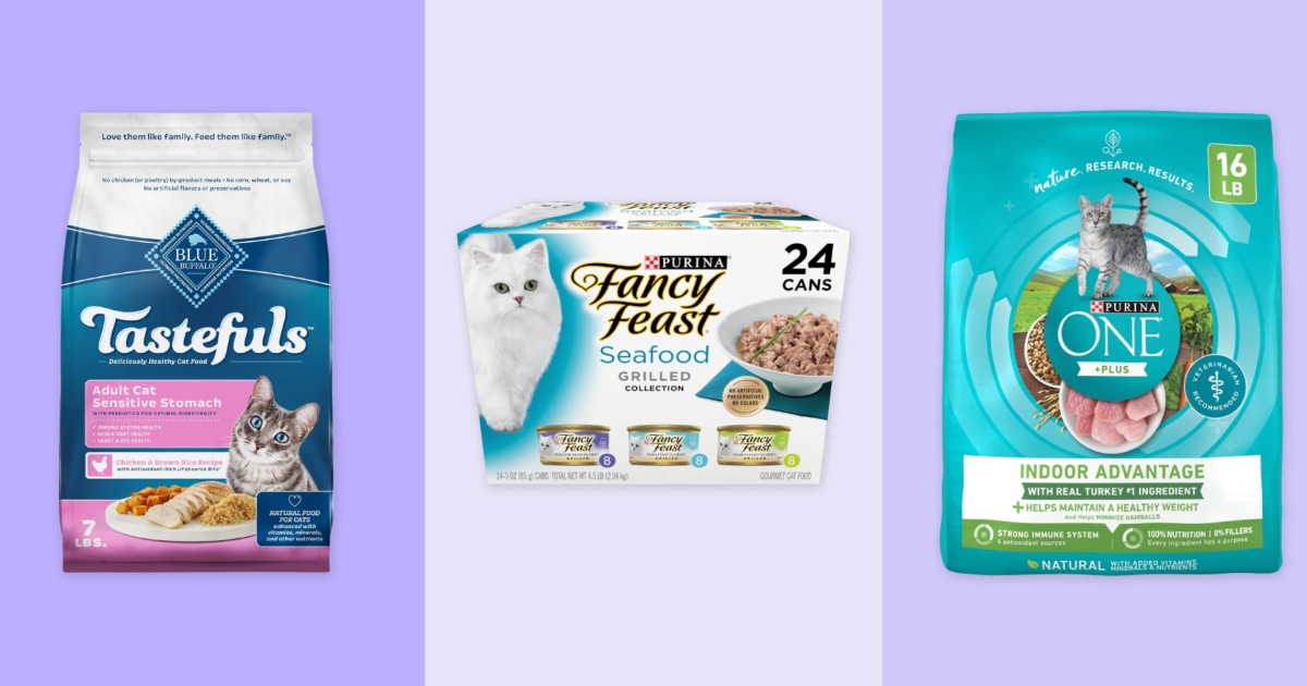 Best Dry Cat Food 2025 – Top Picks, Benefits & Risks