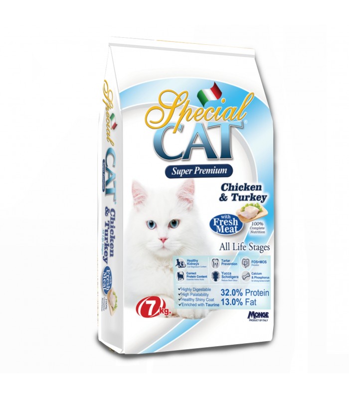 Best dry cat food Philippines – Top picks & tips