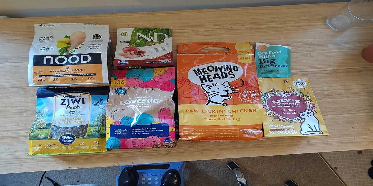 Best dry cat food UK: top picks & friendly guide