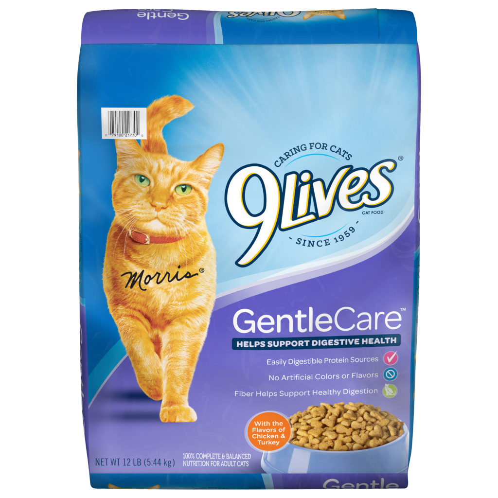 Best Soft Dry Cat Food: Gentle Bites for Sensitive Teeth