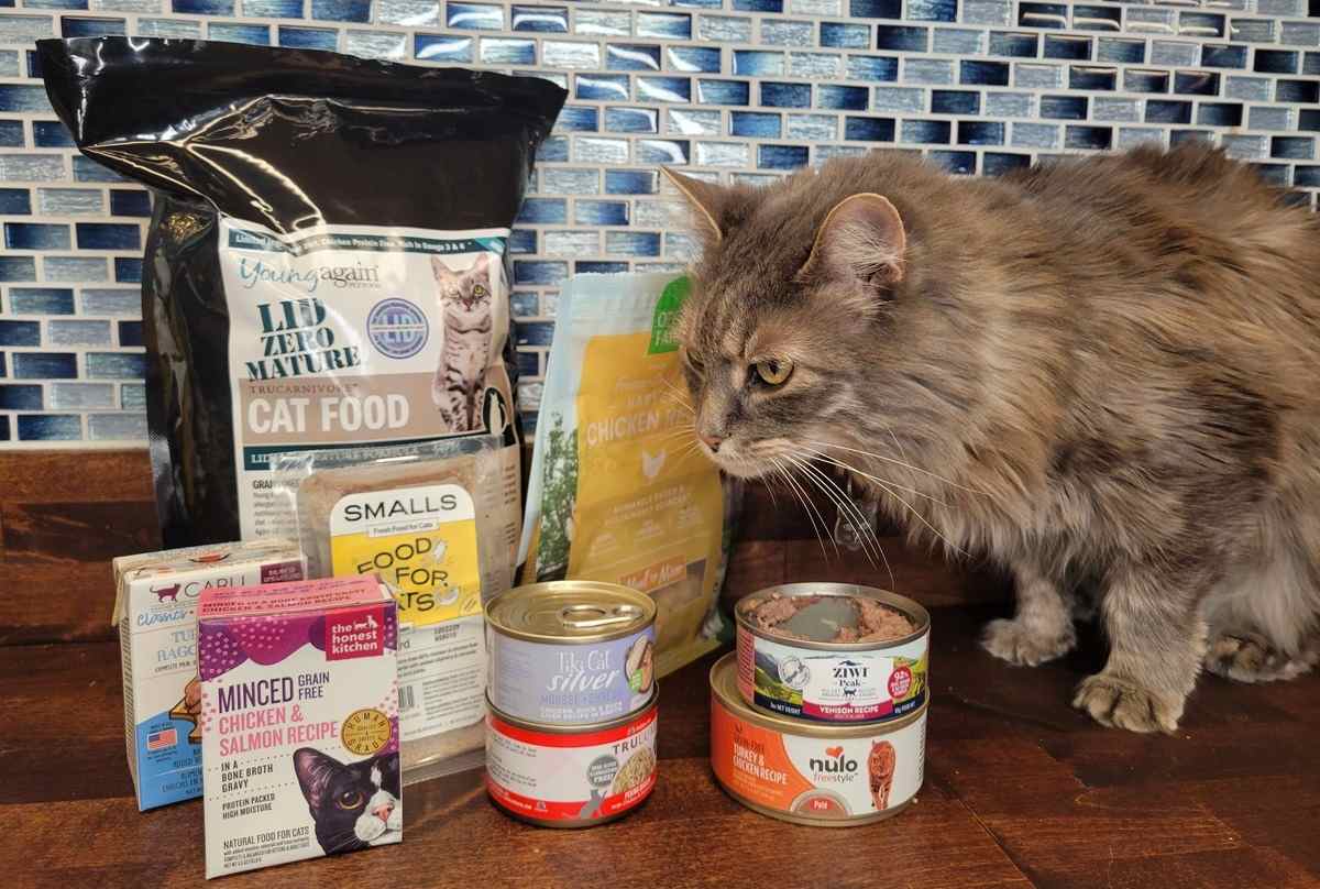 Best Wet Cat Food for Pancreatitis – Top Picks & Guide