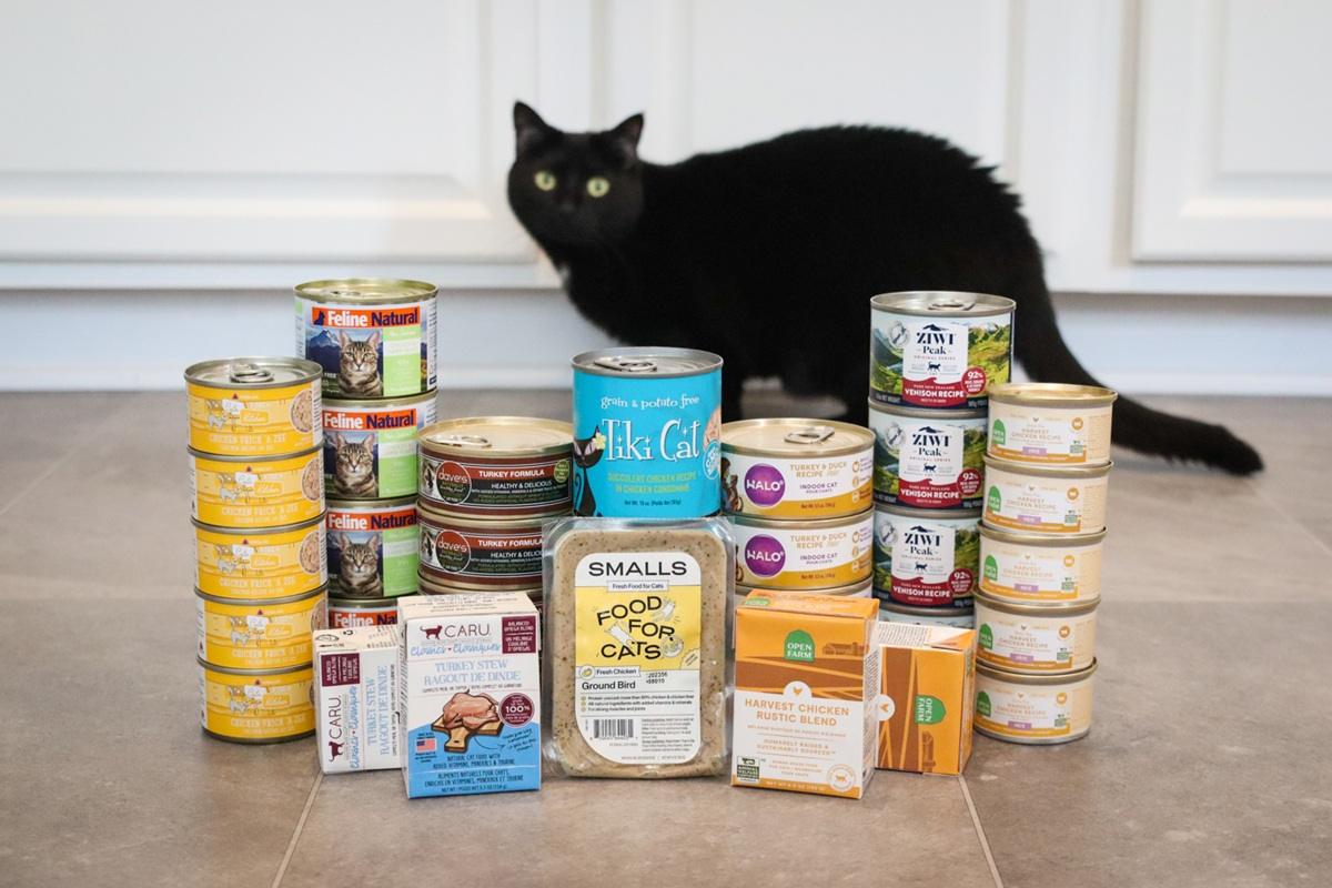 Best Wet Cat Food UK – 7 Top Picks for a Healthy, Happy Kitty