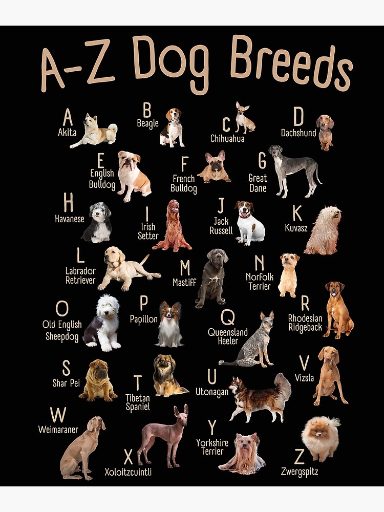 Dog Breeds A‑Z with Pictures: The Complete Visual Guide