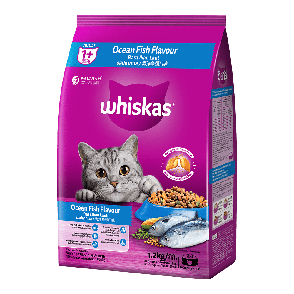 Dry Cat Food Malaysia: Top Picks, Prices & Vet Tips