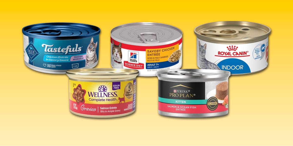 Discover the Healthiest Wet Cat Food for Happy Cats