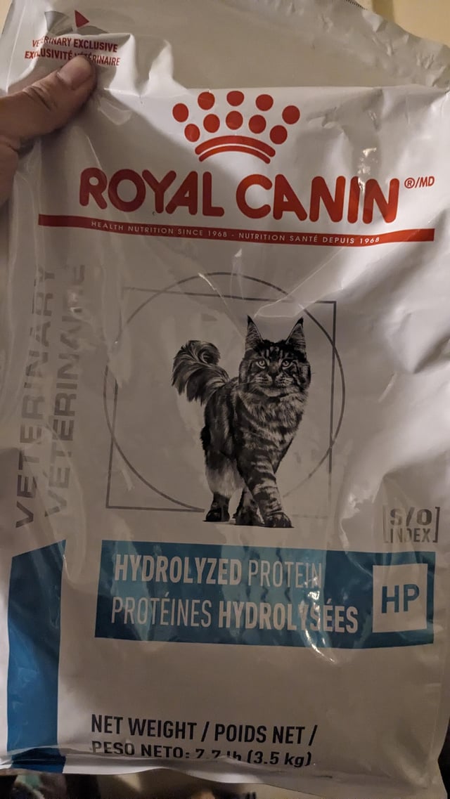 Hypoallergenic Cat Food Reddit: Real Reviews & Vet Tips