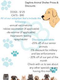 Shelter Animals Count: Latest Stats & What They Mean