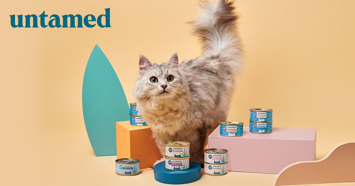 Untamed Cat Food Review: Benefits, Risks & Buying Tips