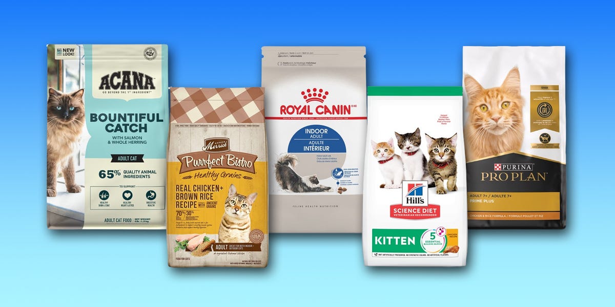 What Is the Healthiest Dry Cat Food? A Friendly Guide