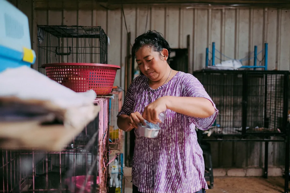 Animal Shelter Houston: Find Pets, Get Help, Adopt Today