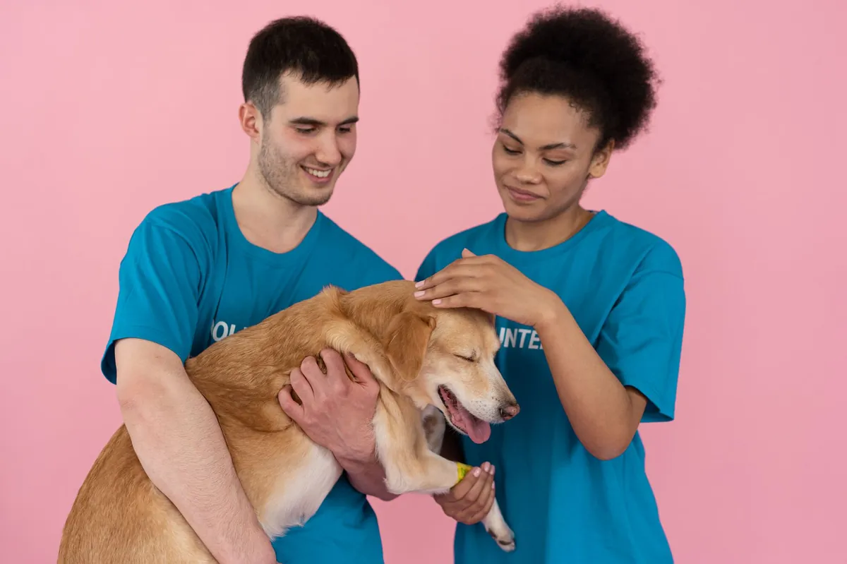 Animal Shelter Woodbridge VA: How to Adopt, Help, and Find Support