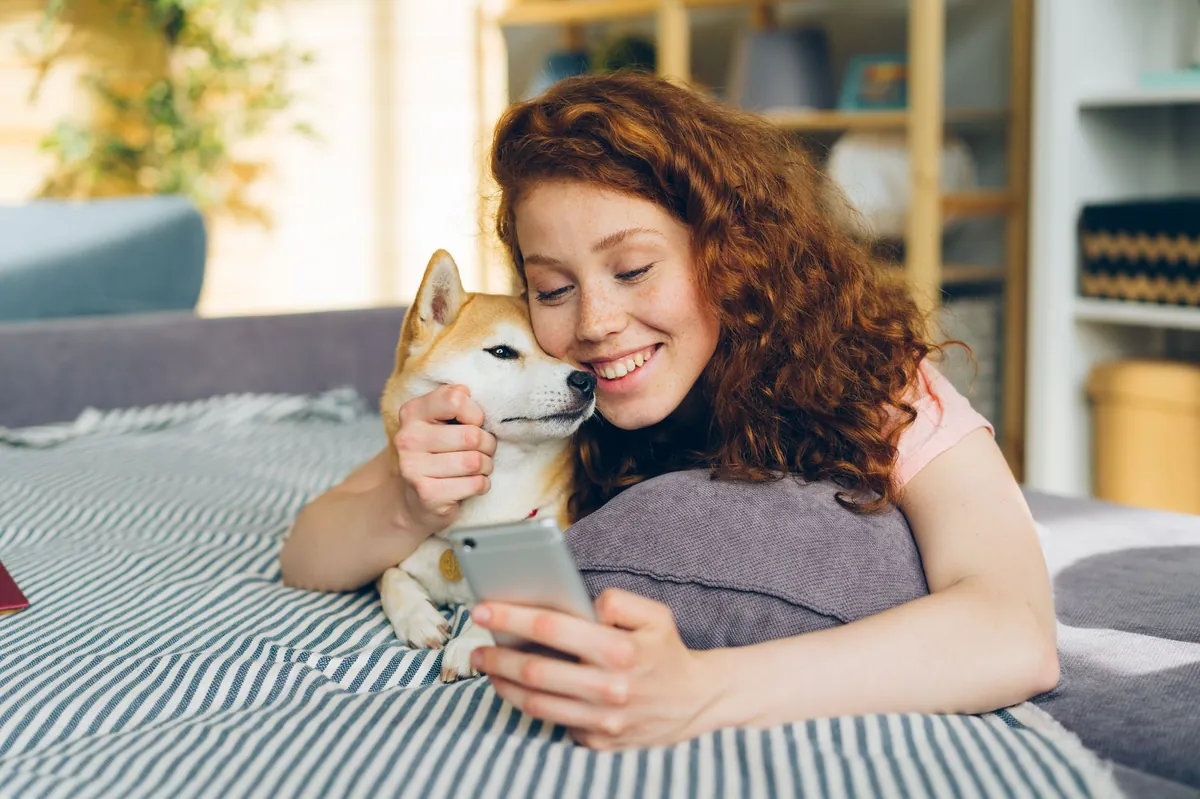 I heart dogs phone number – How to Call the Rescue