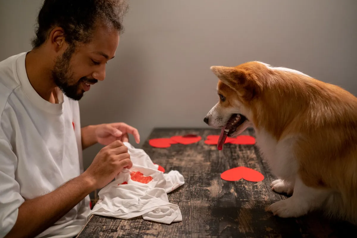 Is i heart dogs legit? Honest Review & What You Should Know