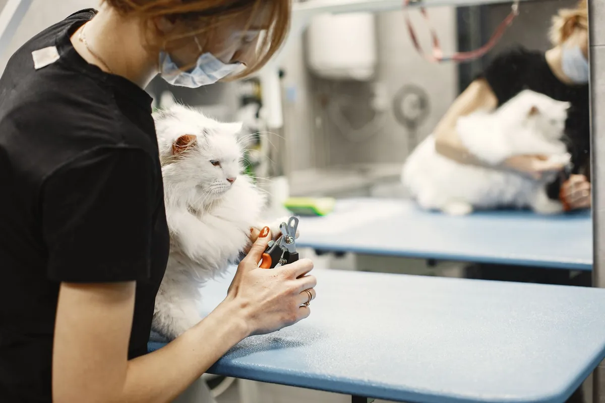 PetSmart: Your One-Stop Shop for Pet Supplies & Services
