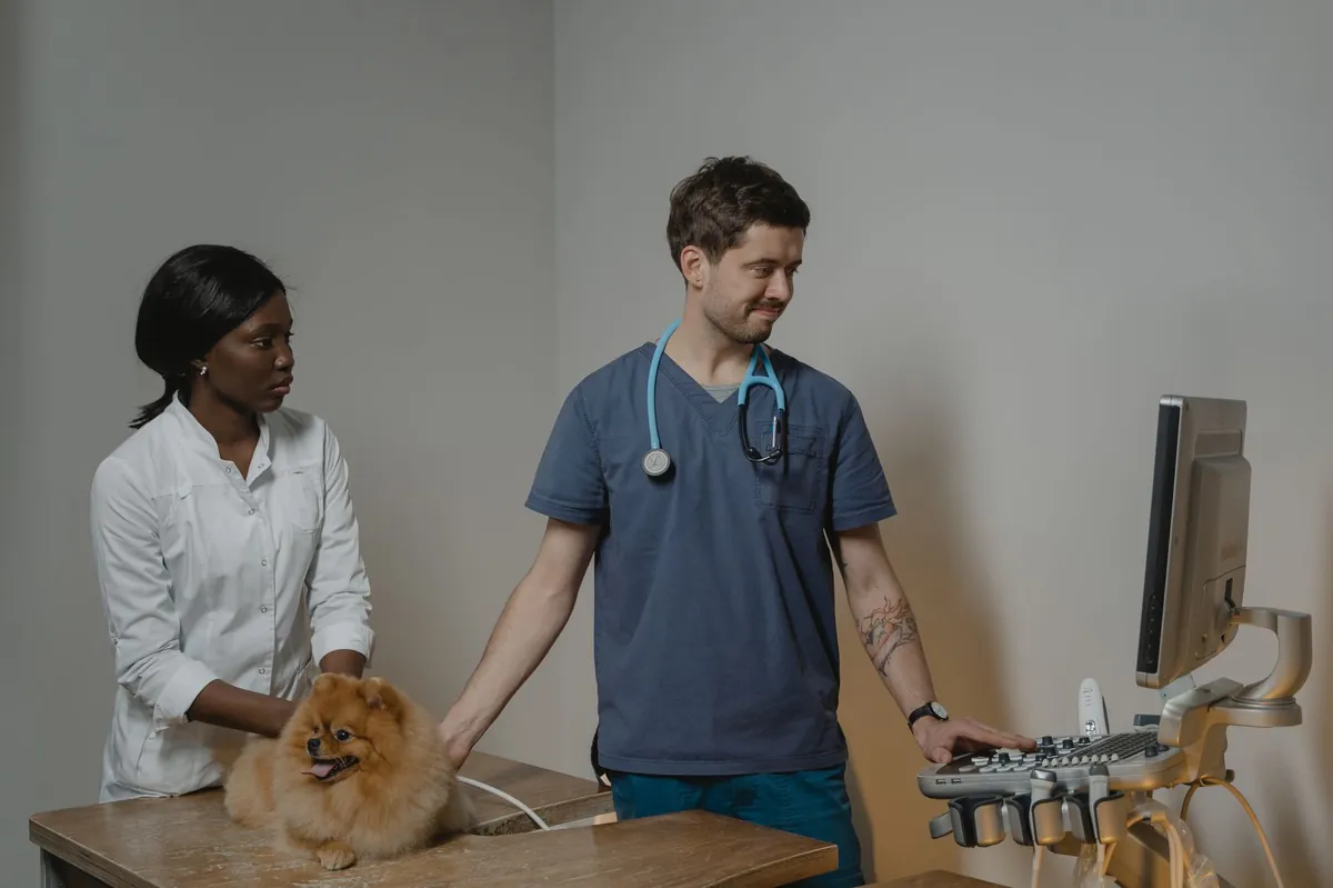 Average Cost of Vet Visit for Cat – What You’ll Actually Pay