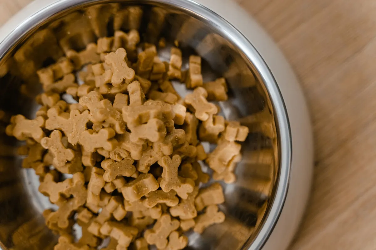 Dry Stella and Chewy Dog Food: Benefits, Risks & Reviews