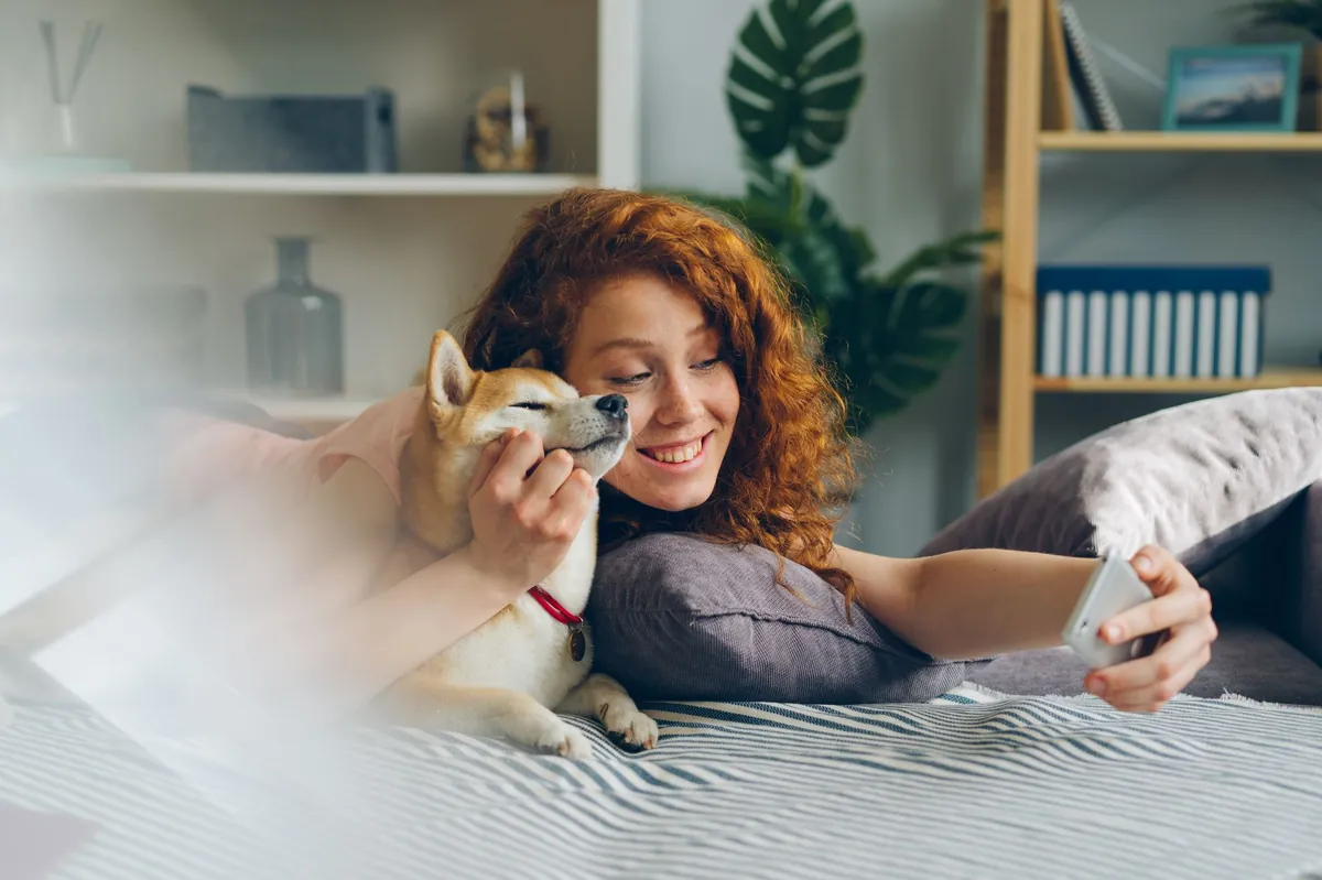 Find My Chewy Account: Quick Login, Recovery, and Management Tips