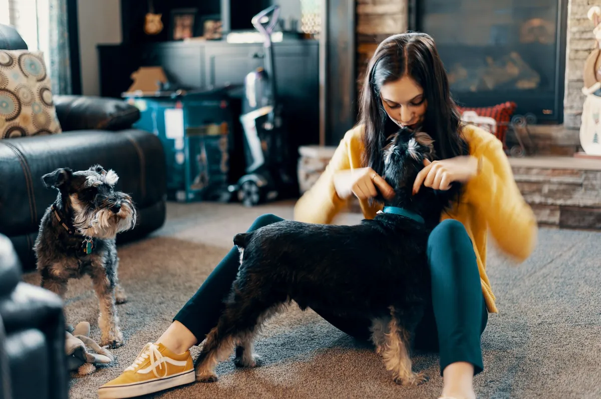 Nationwide Pet Insurance Login – Quick Access & Help Guide