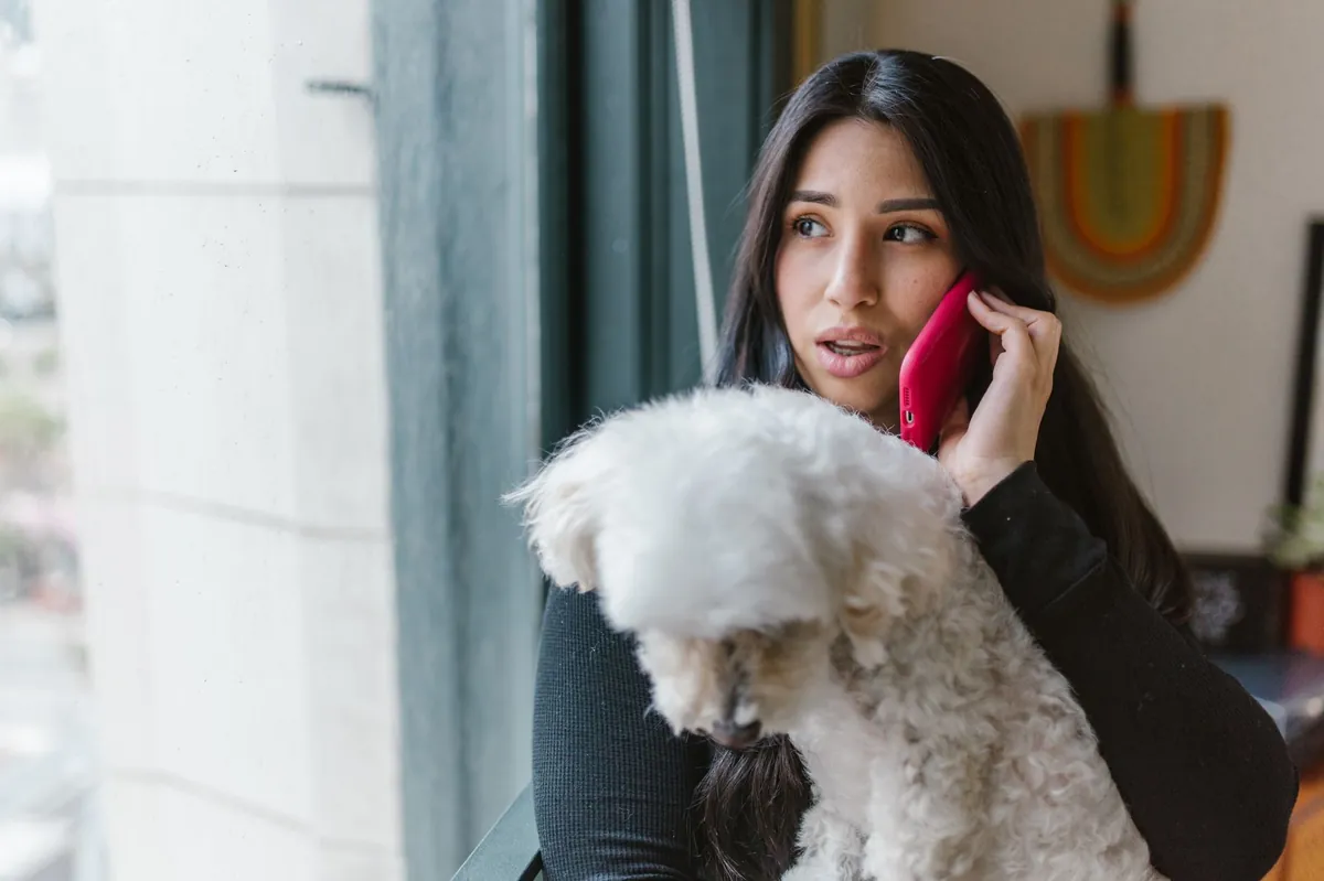 Nationwide Pet Insurance Phone Number – Call 1-800-872-7387