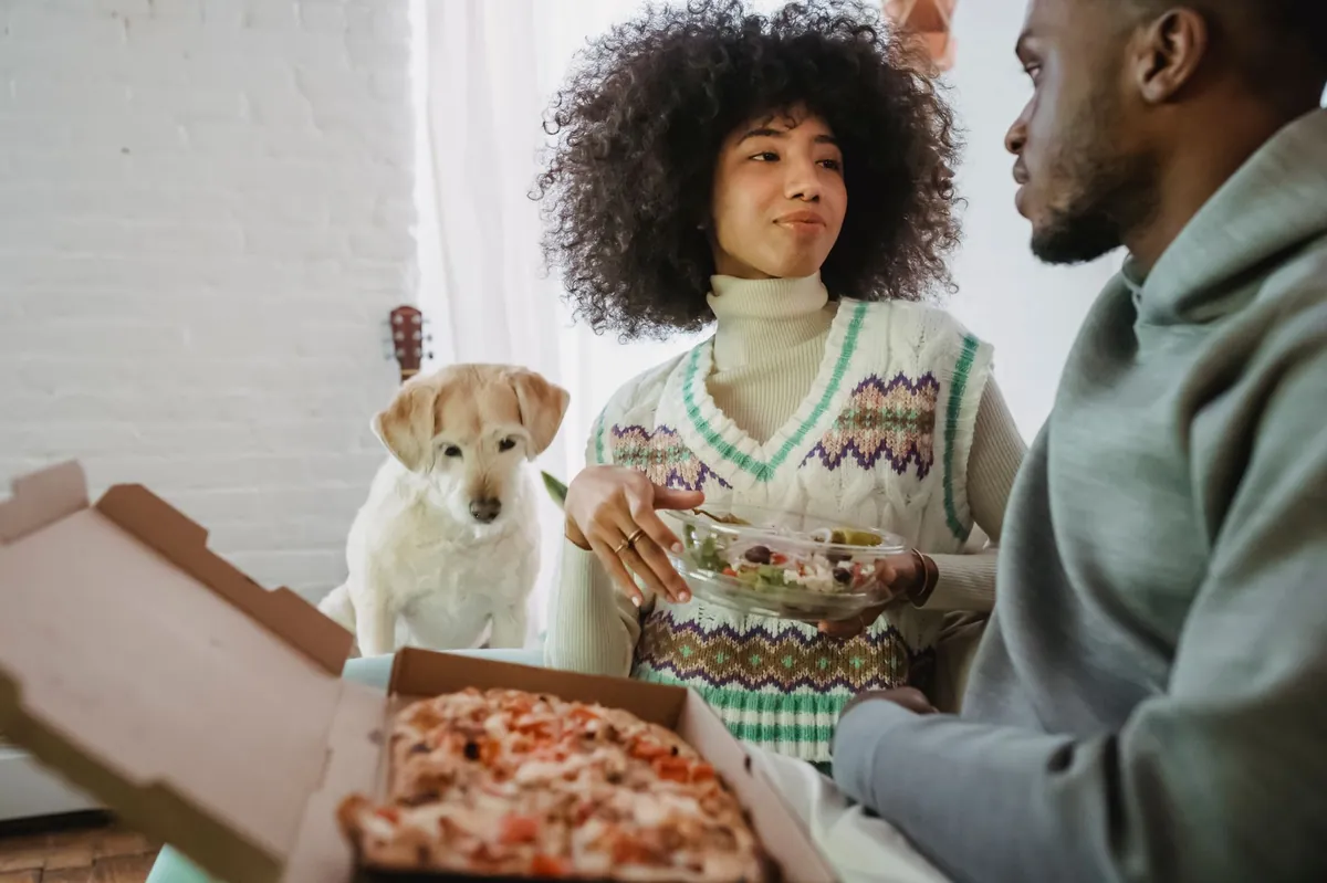 Ollie Dog Food Complaints: What You Should Know Before Buying