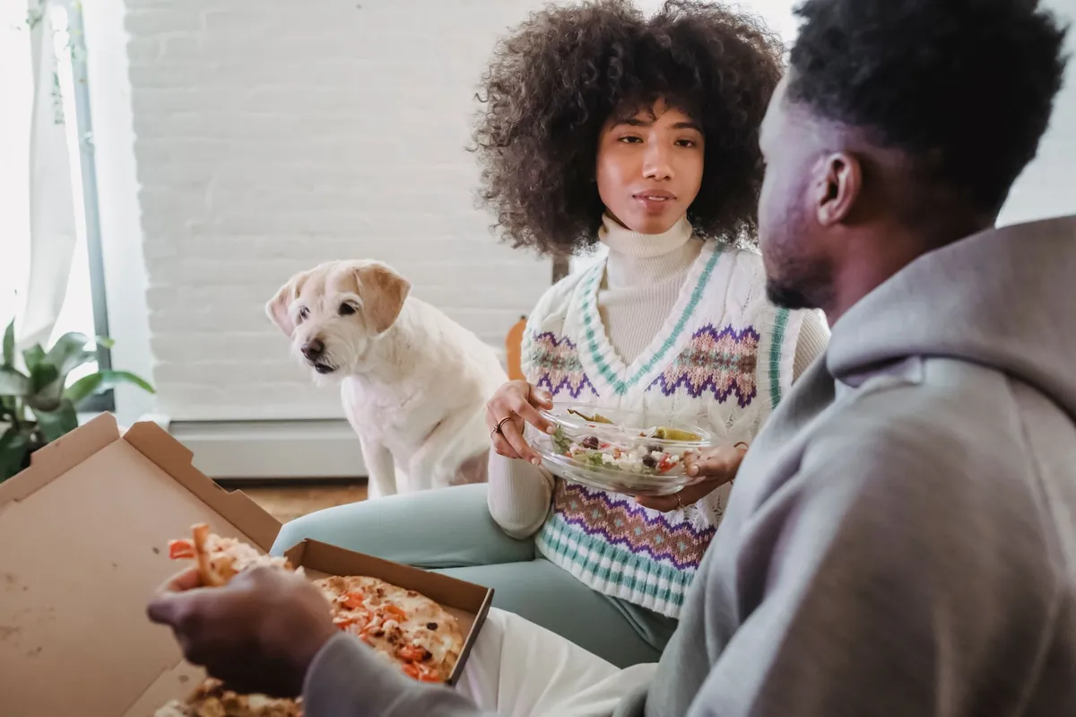 Find Ollie Dog Food Near Me: A Complete Buying Guide