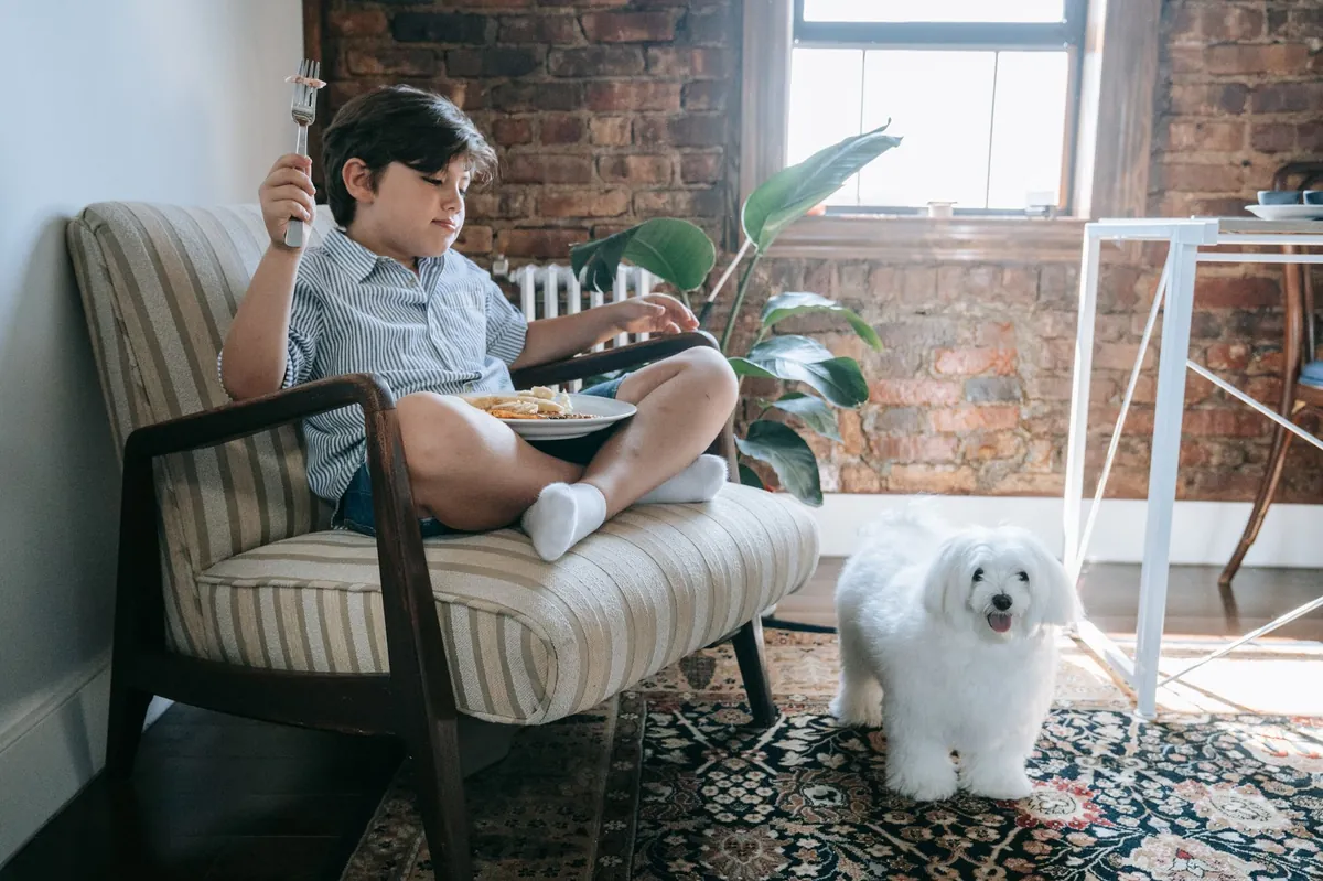 Ollie Dog Food Reviews: Pros, Cons & Real-World Experience