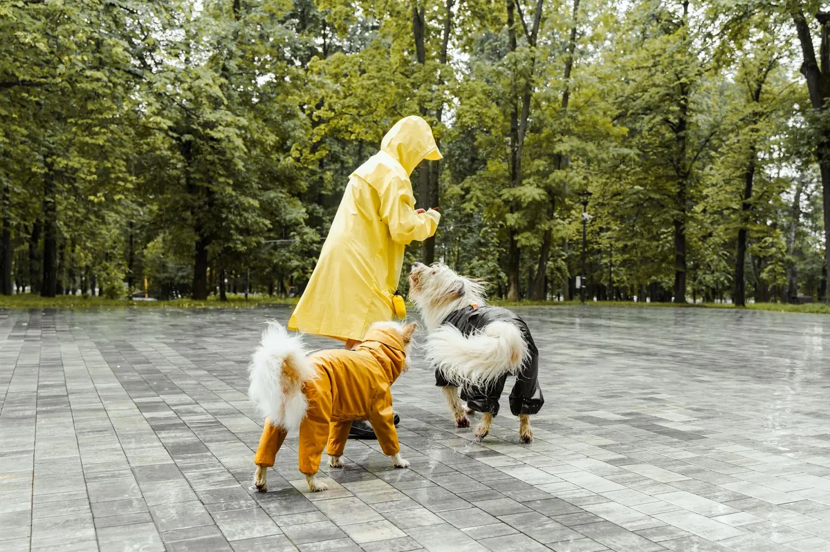 Pet Supermarket Locations: Find the Best Stores Near You