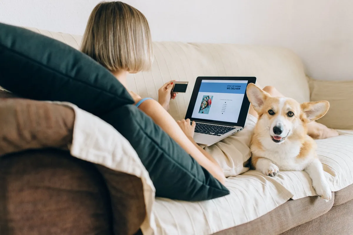 Pet Supplies Online – Find the Best Deals & Tips Fast