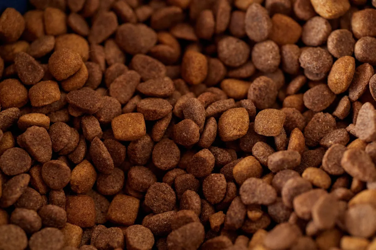 Pet Supplies Plus Coupon: Save on Pet Essentials