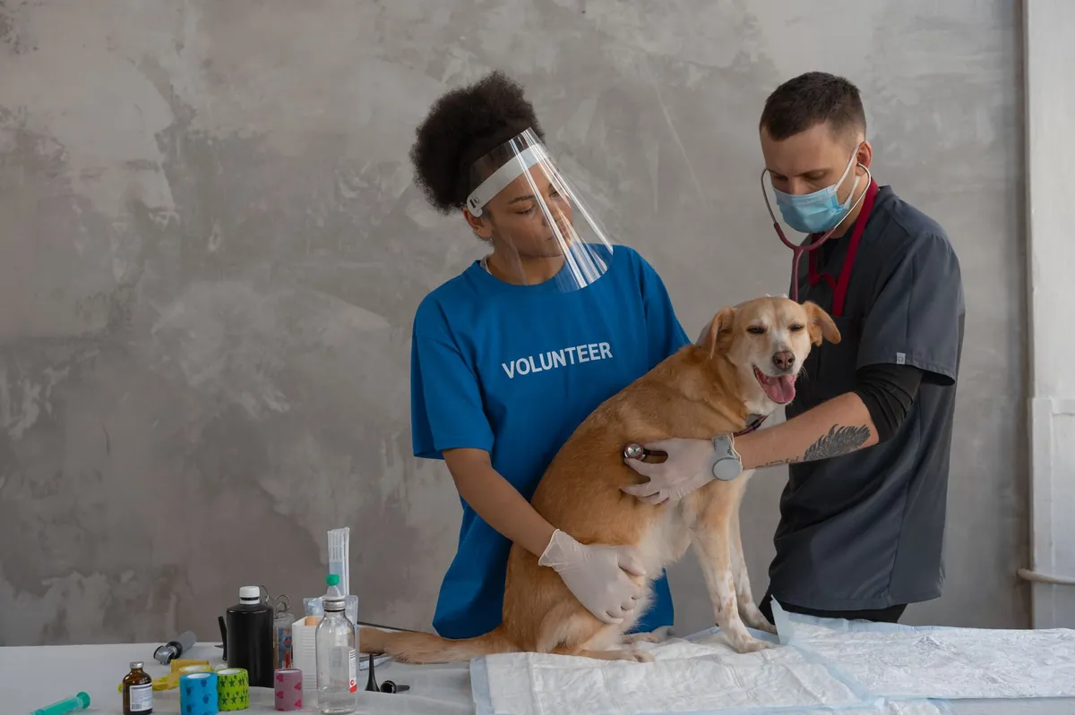 Pet Vet Mobile Clinic Schedule: Find Dates Near You