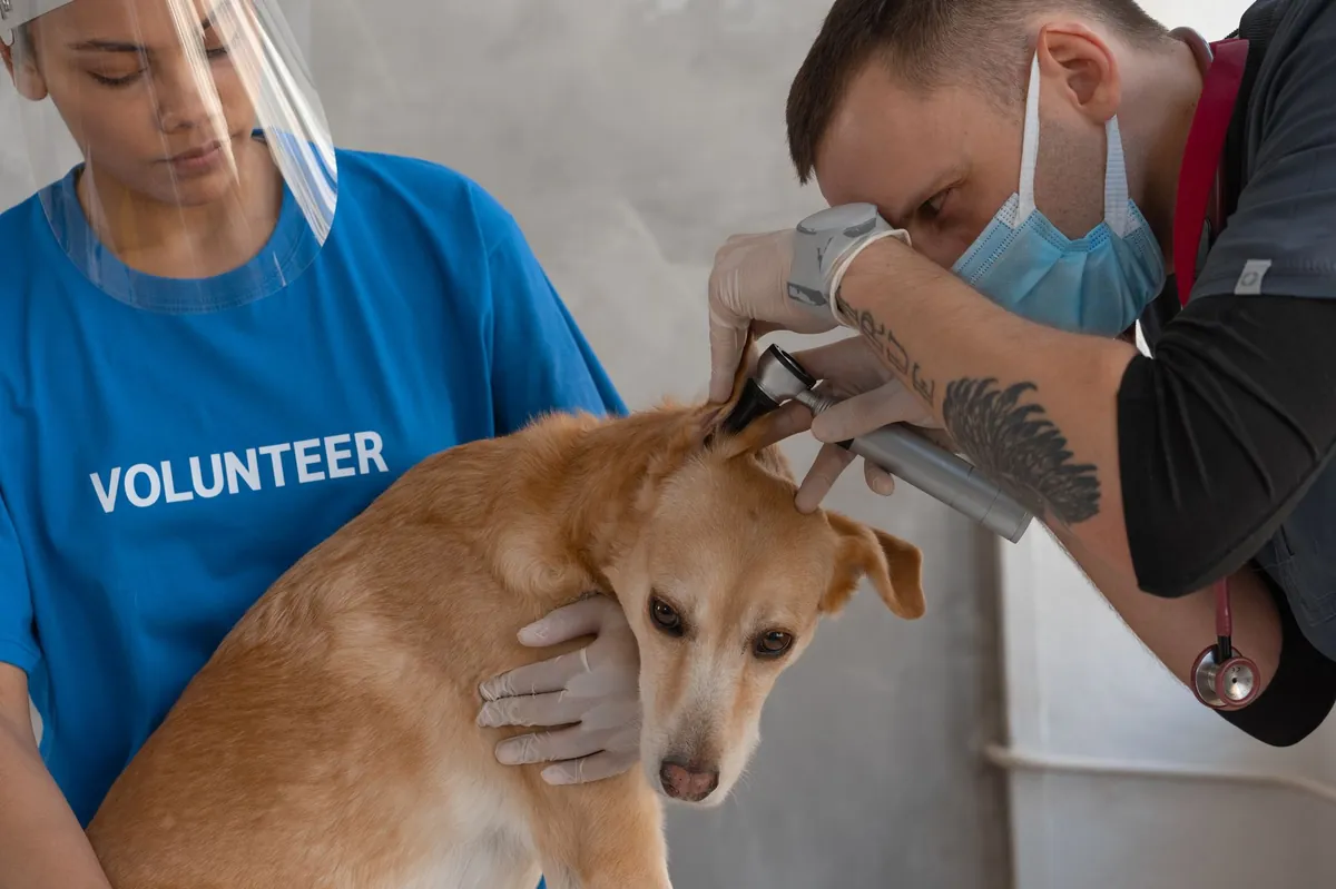 Pet vet schedule Tractor Supply near me – Find Today’s Clinic Hours