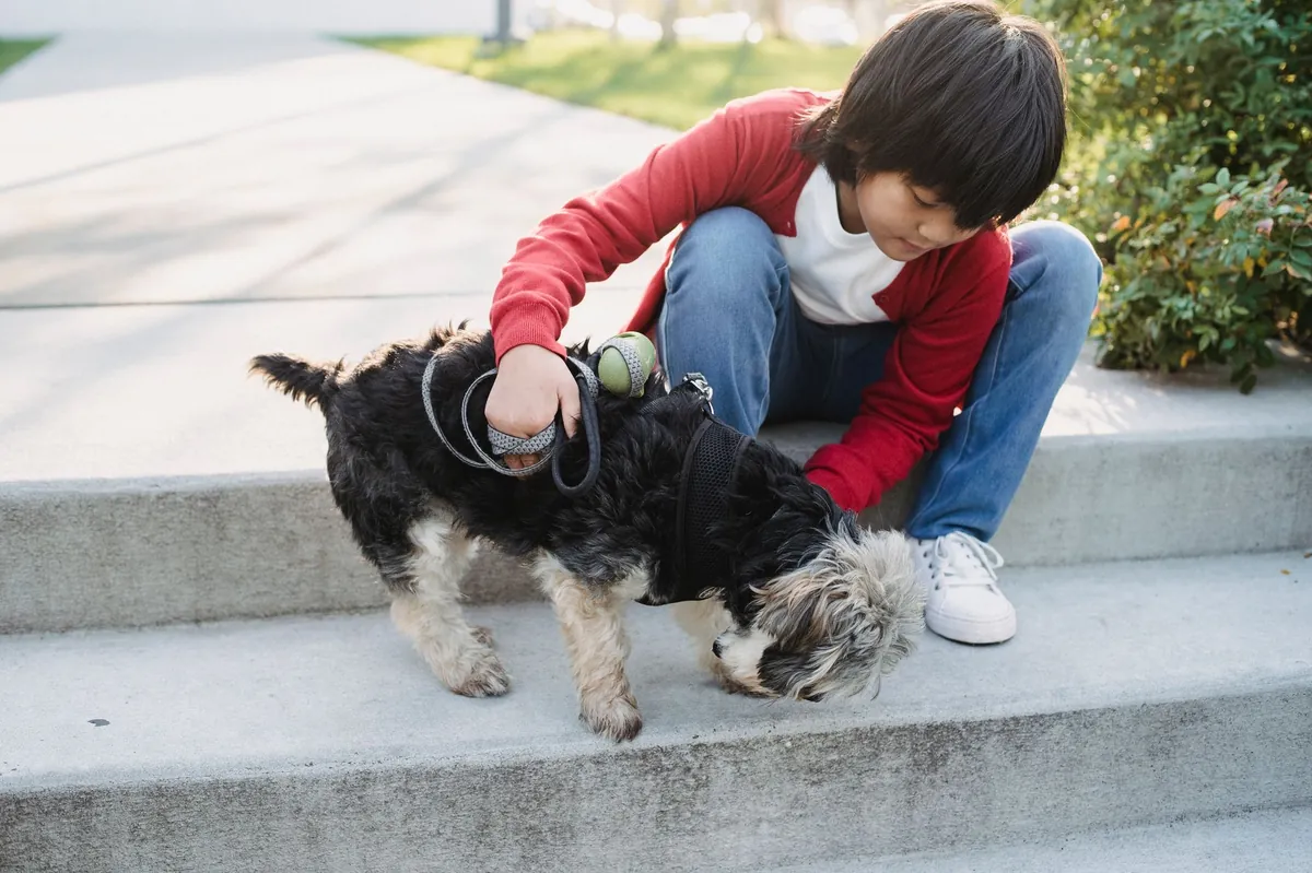 Petco login – How to Access Your Account Quickly & Safely